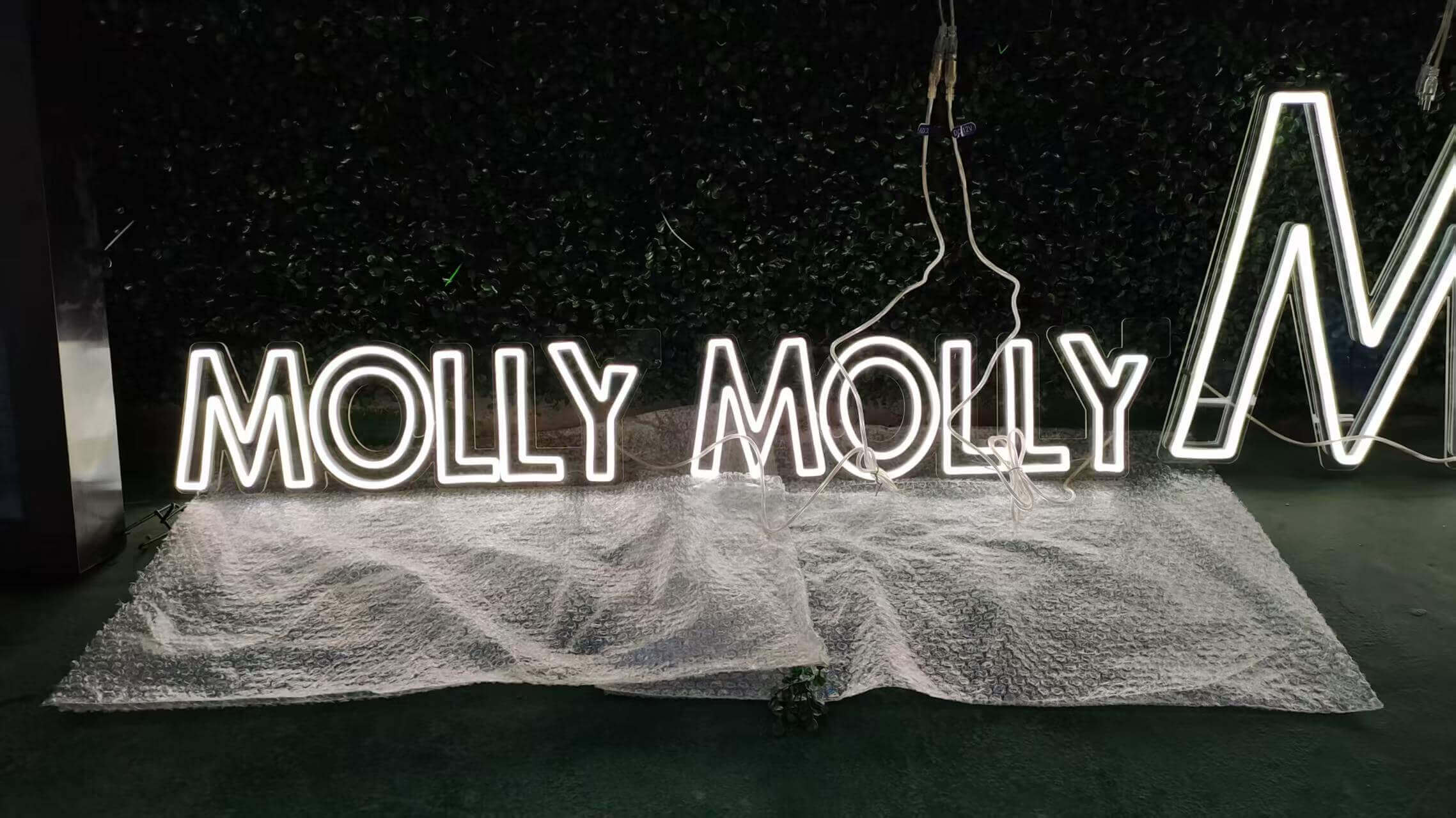 “Molly Molly” white LED business neon sign